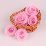 DEMETRIA BOTEZ - TRANDAFIRI ROZ BARBIE ARTICOLE BOTEZ
