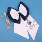 DEMETRIA BOTEZ - AQUARIA BOTEZ FUNDA PENTRU ORICE